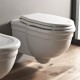 Ceramic sanitary ware