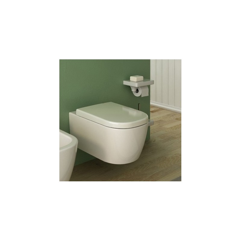 Ceramic sanitary ware