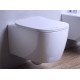 Ceramic sanitary ware