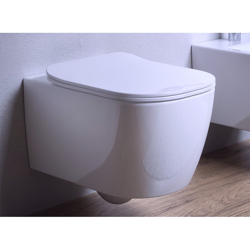 Ceramic sanitary ware